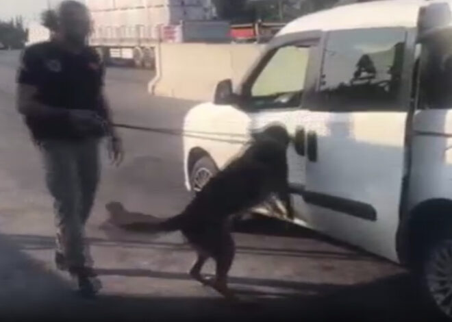 otomobile saklanan uyuşturucuyu narkotik köpeği ‘Aşil’ buldu